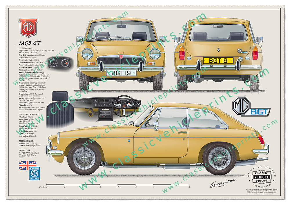 MGB GT Wire Wheels Honeycomb Grille Harvest Gold