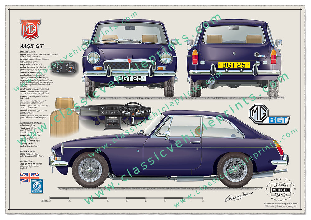 MGB GT Wire Wheels Honeycomb Grille Black Tulip
