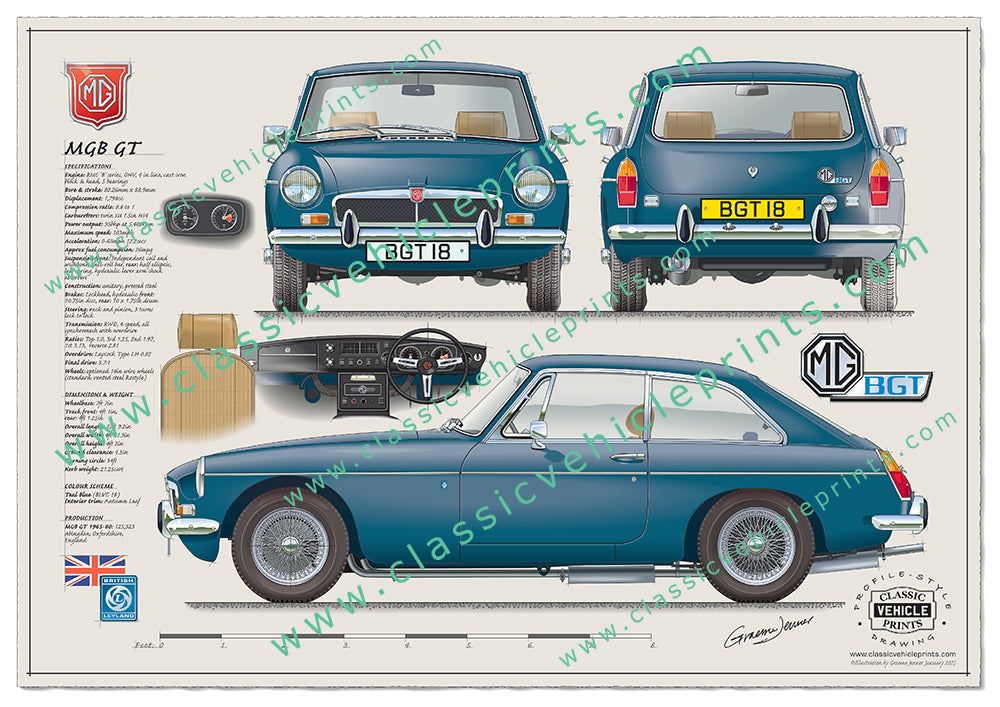 MGB GT Wire Wheels Honeycomb Grille Teal Blue